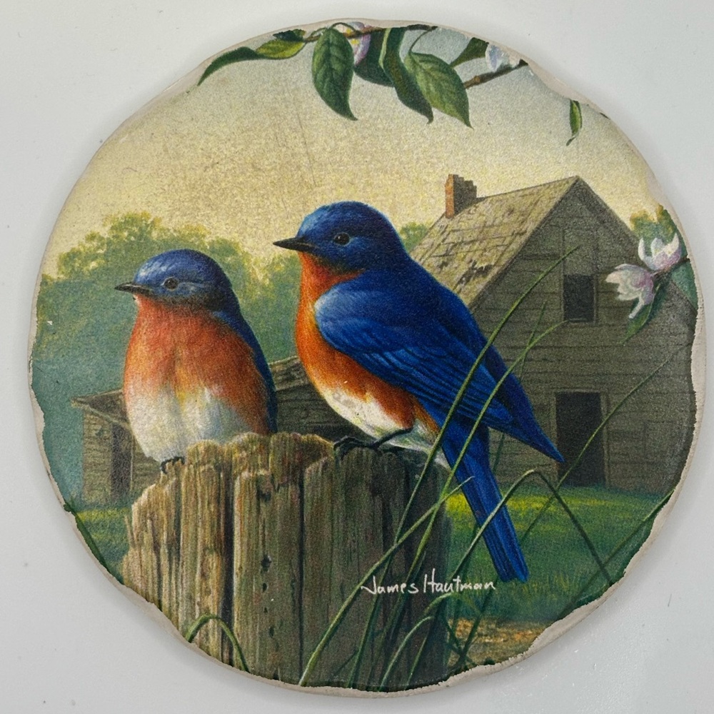 James Hartman Blue Bird Round Coaster Drink Cork Backing 4” Country Morning